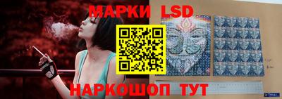 прущие грибы Сланцы