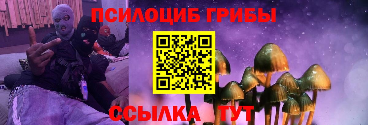 Псилоцибиновые грибы мицелий  Вход с VPN  Артём  Галлюциногенные грибы мицелий 